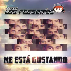 Me Está Gustando by Banda Los Recoditos album reviews, ratings, credits