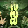 Fumafu - Single album lyrics, reviews, download