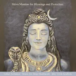 Shiva Mantras for Blessings and Protection by Vallari Ambekar, Music for Deep Meditation & Shri Vivek Godbole album reviews, ratings, credits