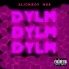 Dylm - Single album lyrics, reviews, download