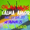 Calma Amor (feat. Mc Lv Da Zo & Mc Tavinho Zs) - Single album lyrics, reviews, download
