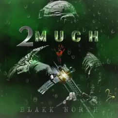 2Much - Single by Blakk North album reviews, ratings, credits