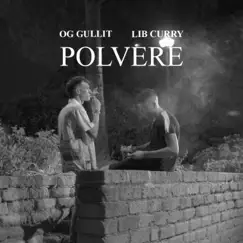 Polvere (Explicit Version) - Single by Og Gullit & Lib Curry album reviews, ratings, credits