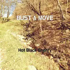 Bust a Move Song Lyrics