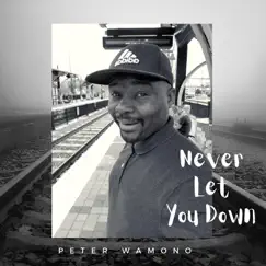 Never Let You Down - Single by Peter Wamono album reviews, ratings, credits