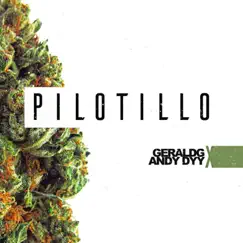 Pilotillo Song Lyrics