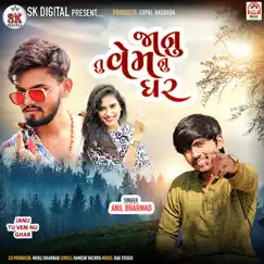 Janu Tu Vem Nu Ghar - Single by Anil Bharwad album reviews, ratings, credits