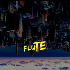 Flute - Single by Des Beats album reviews, ratings, credits