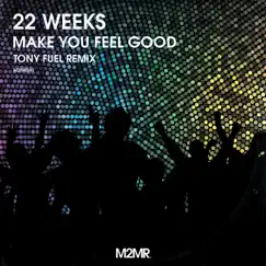 Make You Feel Good - Single by 22 Weeks & Tony Fuel album reviews, ratings, credits