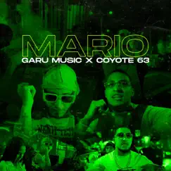 Mario (feat. Coyote 63) - Single by Garu album reviews, ratings, credits