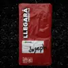 Llegará - Single album lyrics, reviews, download