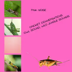 Original Forest Life (Pink Noise) Loopable Song Lyrics