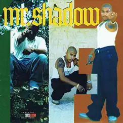 13 (Thirteen) by Mr. Shadow album reviews, ratings, credits