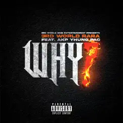 Why (feat. Akp Yhung Pac) - Single by 3rd World Rara album reviews, ratings, credits