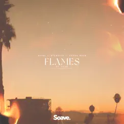 Flames (feat. Tyzn) Song Lyrics