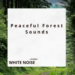 Peaceful Forest Sounds for Meditation (White Noise), Loopable by Elements of Nature, White Noise Collection & Birds Songs Lullabies album reviews, ratings, credits