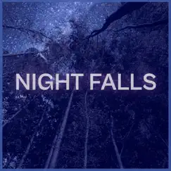Night Falls (Instrumental) Song Lyrics