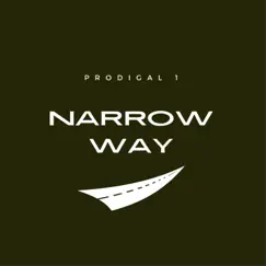 Narrow Way - Single by Prodigal 1 album reviews, ratings, credits
