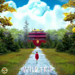 Wild Trip - Single by Jojoalaprod album reviews, ratings, credits