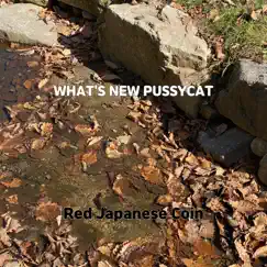 What's New Pussycat - Single by Red Japanese Coin album reviews, ratings, credits