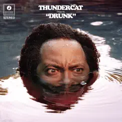 Them Changes (Sped Up) - Single by Thundercat album reviews, ratings, credits