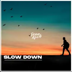 Slow Down - Single by Sean Koch album reviews, ratings, credits
