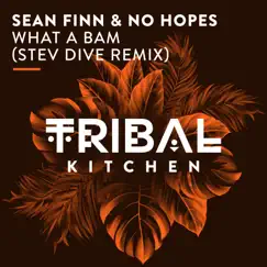 What a Bam (Stev Dive Radio Edit) - Single by Sean Finn & No Hopes album reviews, ratings, credits