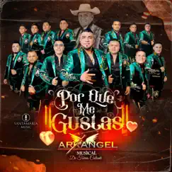 Por Qué Me Gustas by Arkangel Musical de Tierra Caliente album reviews, ratings, credits