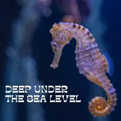 Deep Under the Sea Level by Underwater Sounds Channel, Water Soundscapes & Mother Nature Sound FX album reviews, ratings, credits