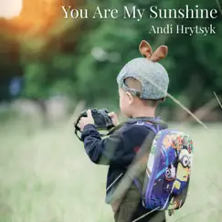 You Are My Sunshine - Single by Andi Hrytsyk album reviews, ratings, credits