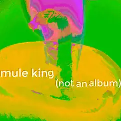 (Not an Album) - EP by Mule King album reviews, ratings, credits