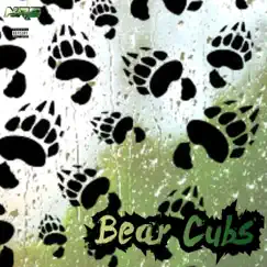 Bear Cubs (feat. Dizzy Dzyn, NRG Streetz & Stoph Pizzle) Song Lyrics