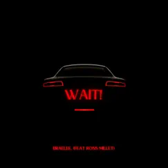 WAIT! (feat. Ross Millet) - Single by Braelee. album reviews, ratings, credits