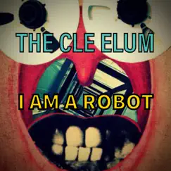 I Am a Robot (feat. Matthew Caws) Song Lyrics