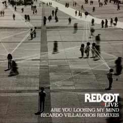 Are You Loosing My Mind (Ricardo Villalobos Remixes) by Reboot album reviews, ratings, credits