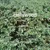 Hollywood song lyrics