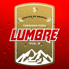 Corridos Pura Lumbre Vol. 2 (En Vivo) - EP by Cuates de Medina album reviews, ratings, credits