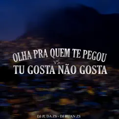 Olha pra Quem Te Pegou Vs Tu Gosta Não Gosta Song Lyrics