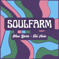 New York-Tel Aviv - Single by Soulfarm album reviews, ratings, credits