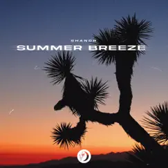 Summer Breeze - Single by Shandr album reviews, ratings, credits