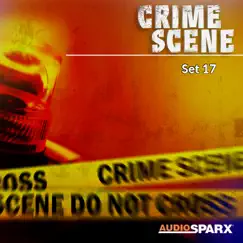 Crime Scene, Set 17 by Various Artists album reviews, ratings, credits