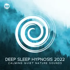 Deep Sleep Hypnosis (White Noise) Song Lyrics