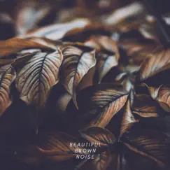 Beautiful Brown Noise - Single by Drowsy & Sleep Babies Sleep album reviews, ratings, credits