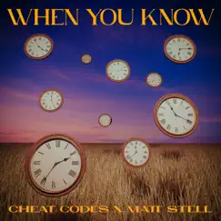 When You Know - Single by Cheat Codes & Matt Stell album reviews, ratings, credits