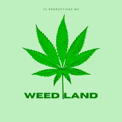 Weedland (feat. Astroboy) - Single by MC-SMILE album reviews, ratings, credits