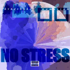 No Stress (feat. Frost fuego) Song Lyrics
