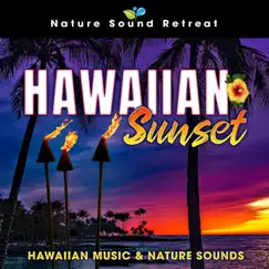 Enchanted Tiki Room Chillout - Happy Hawaiian Guitar Music (feat. The Hawaiian Beach Bros) Song Lyrics