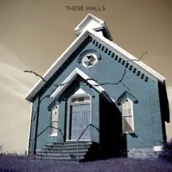 These Walls (feat. Nu Tone) - Single by Rebekah Renatus album reviews, ratings, credits