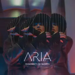 Dimineți și nopți - Single by Aria album reviews, ratings, credits