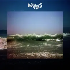 Wavves (Remixes) - EP by The Wizard album reviews, ratings, credits